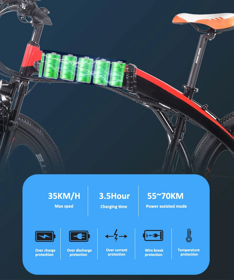 Ebike 2 Wheel Electric Bike Fast Charging 3.5hour 36V 10ah Battery for Electric Bike