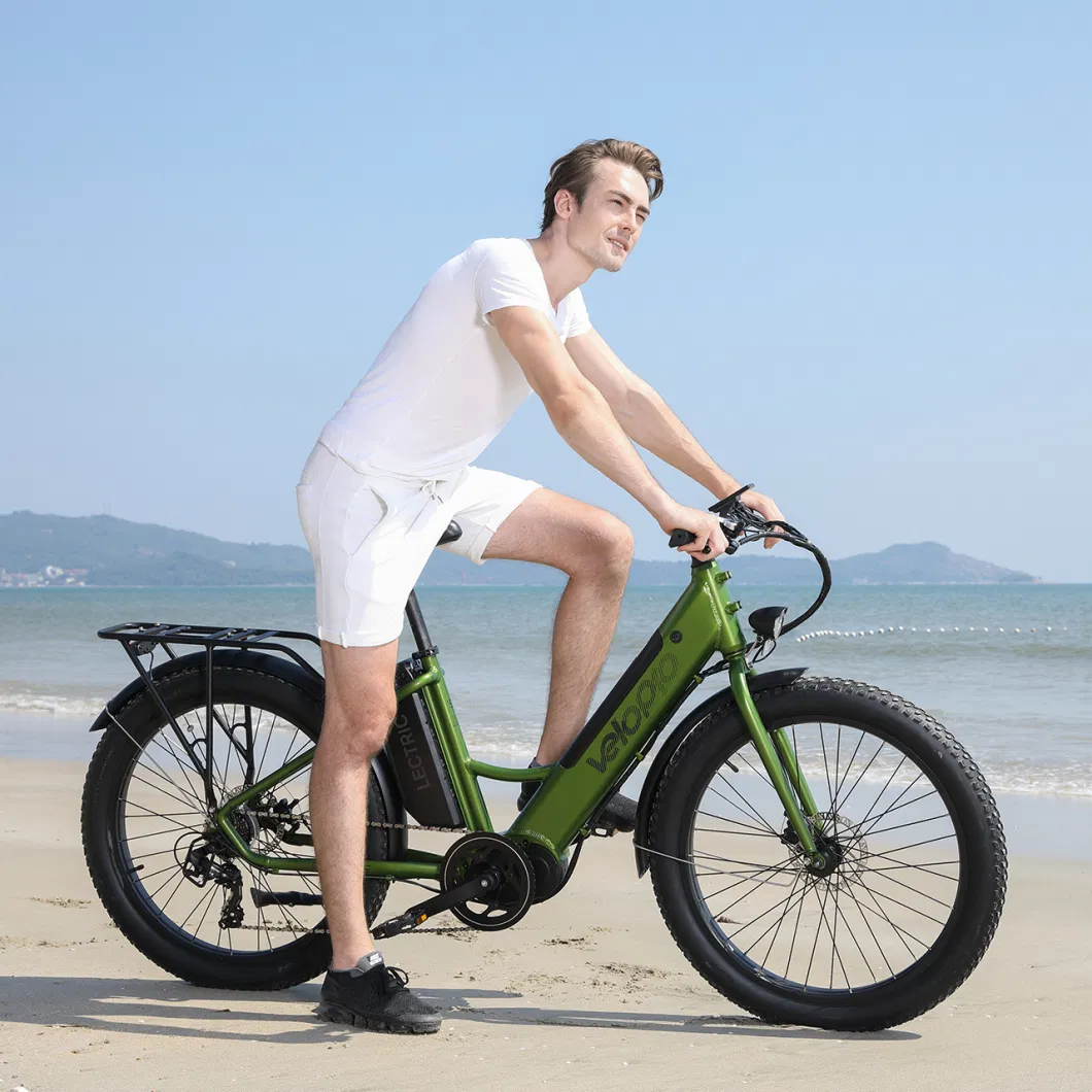 48V 750W Fat Tire 26inch Electric City Bike Electric Motorbike for Sale