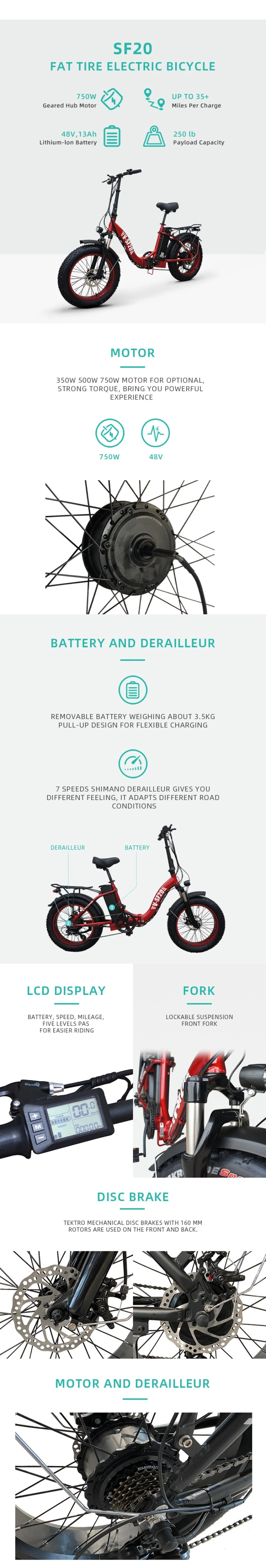 Ladies Fat Tire Foldable Electric E Bike Bicycle 750W with Competitive Price