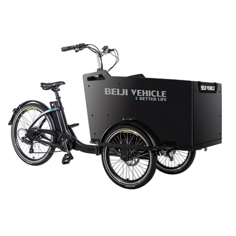 Cargo Bike with Wooden Box Electric Version Tricycle for Carry Children