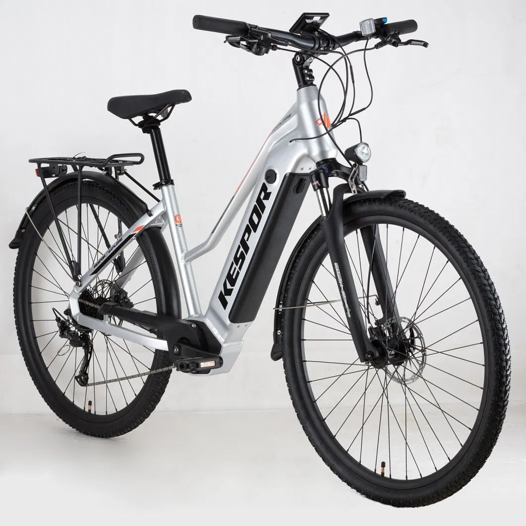 Cheap Price Factory OEM Customized 36V 250W/500W Women/Female Electric Bike Bicycle