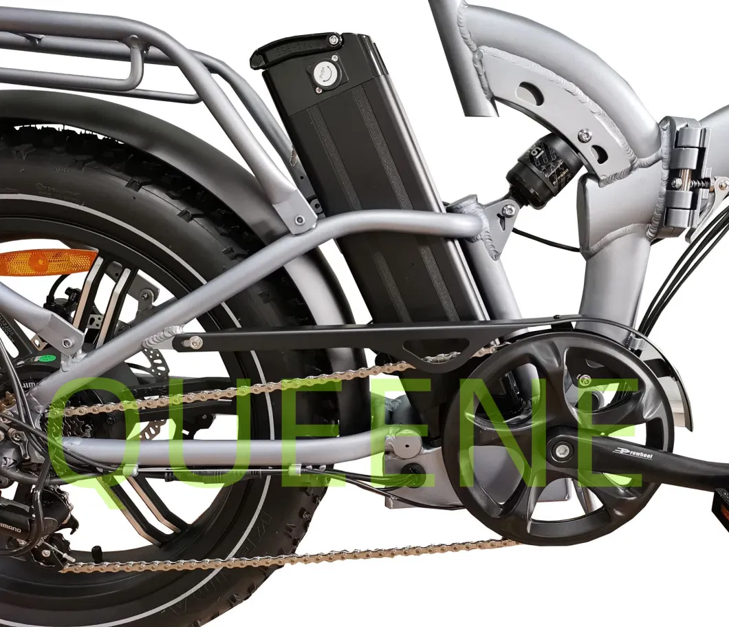 Full Suspension Frame Design Electric Bicycle Moped Ebike Electric Cruiser Bicycle for Women