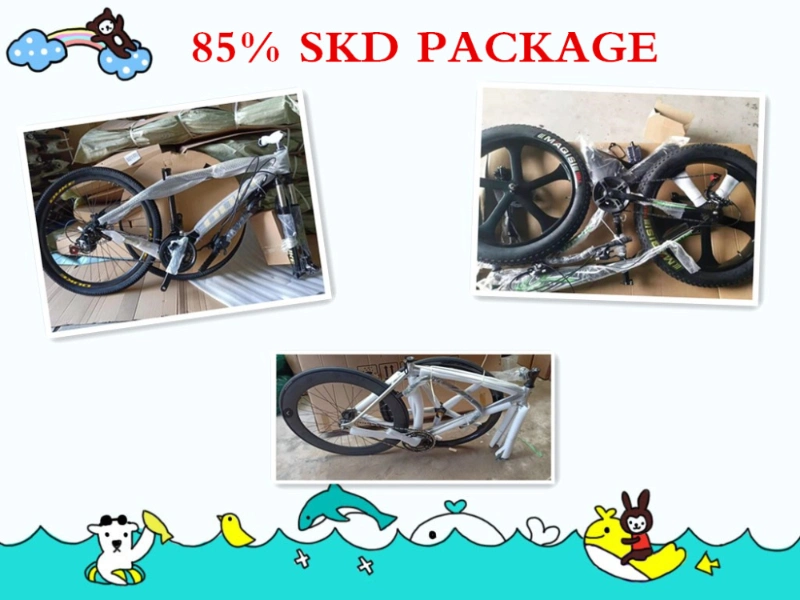 Hot Sale 20 Inch OEM Foldable Bicicletas Electricas/48V 350W Exercise Ebike Electric Cycle