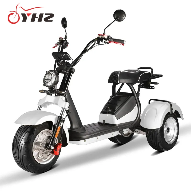 EEC 4000W Three Wheel Citycoco Electric Scooter 4000W Dual Motor Adult Trike