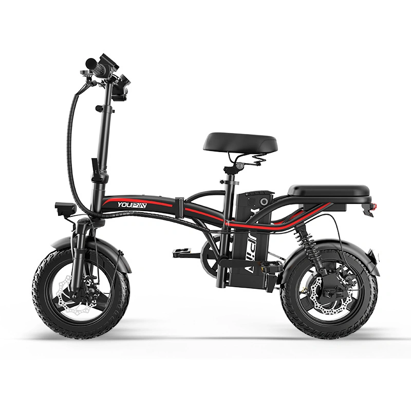 Aluminum Alloy Frame Double Disc Brake portable and Foldable Electric Bike