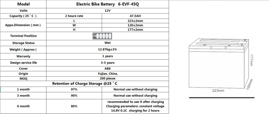 TCS Bike E-Bike Electric Battery 6-EVF-45Q