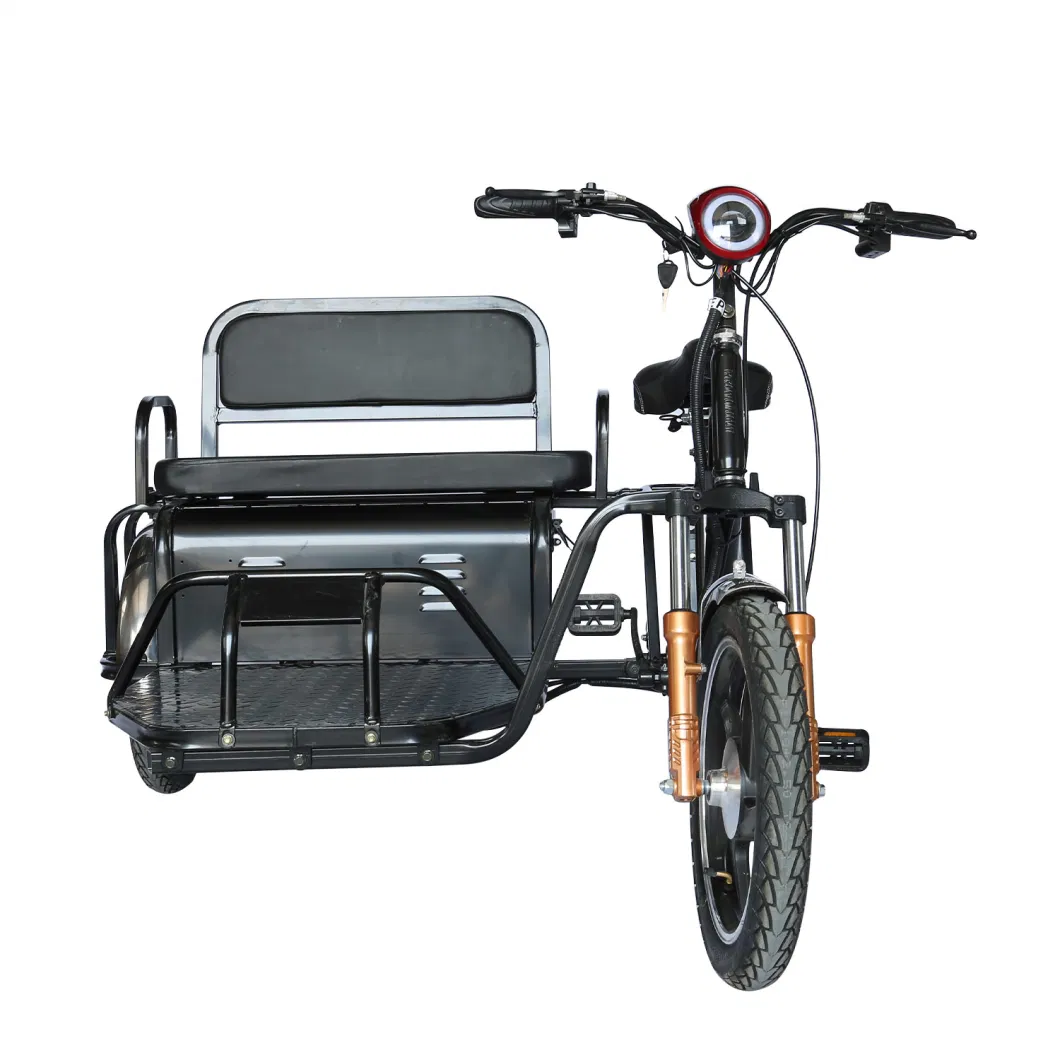 Cheap Electric Tricycle 3-Wheeled Electric Bike Series for The Leisure Tourism Applications or Passengers Carrying