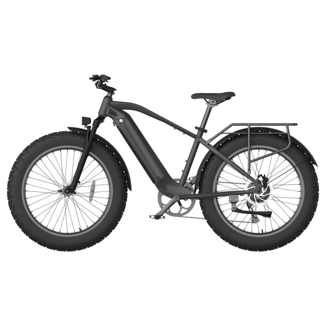 750W 52V Fat Tire Mountain Electric Bike Ebike 5% Discount