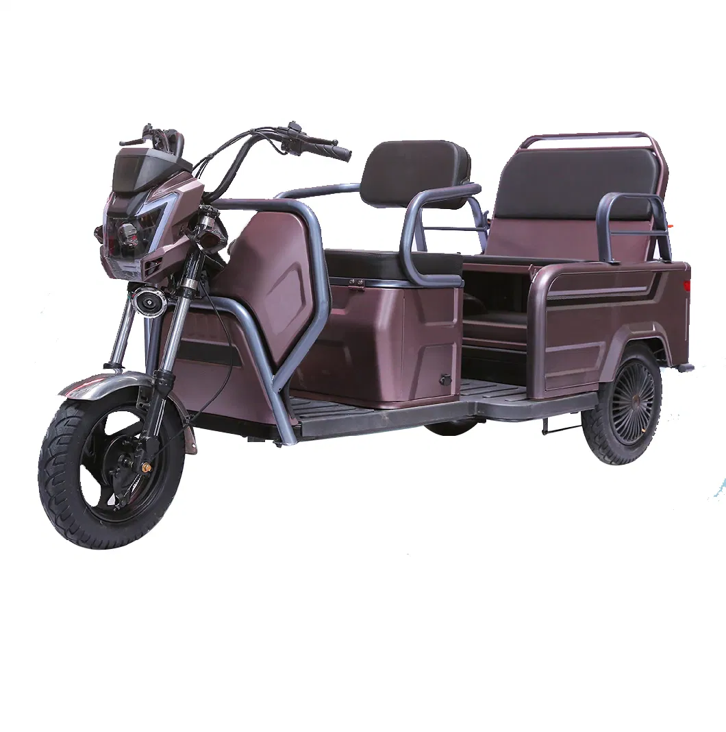 2023 Hot Sales, CCC Certificate, China Manufacturer Good Quality, 650W (800W) Electric Leisure Tricycle, Folding Rear Seat, Storing Space, Electric Tricycle