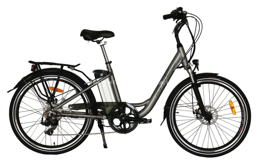 20inch 48V 10ah Electric Foldable Bicycle En15194 Tdn12z