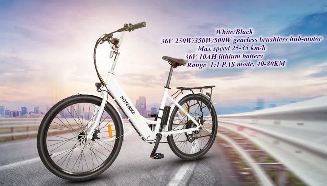 A5ah28 Electric Bicycle, 28 Inch Ebike, with LCD-Display