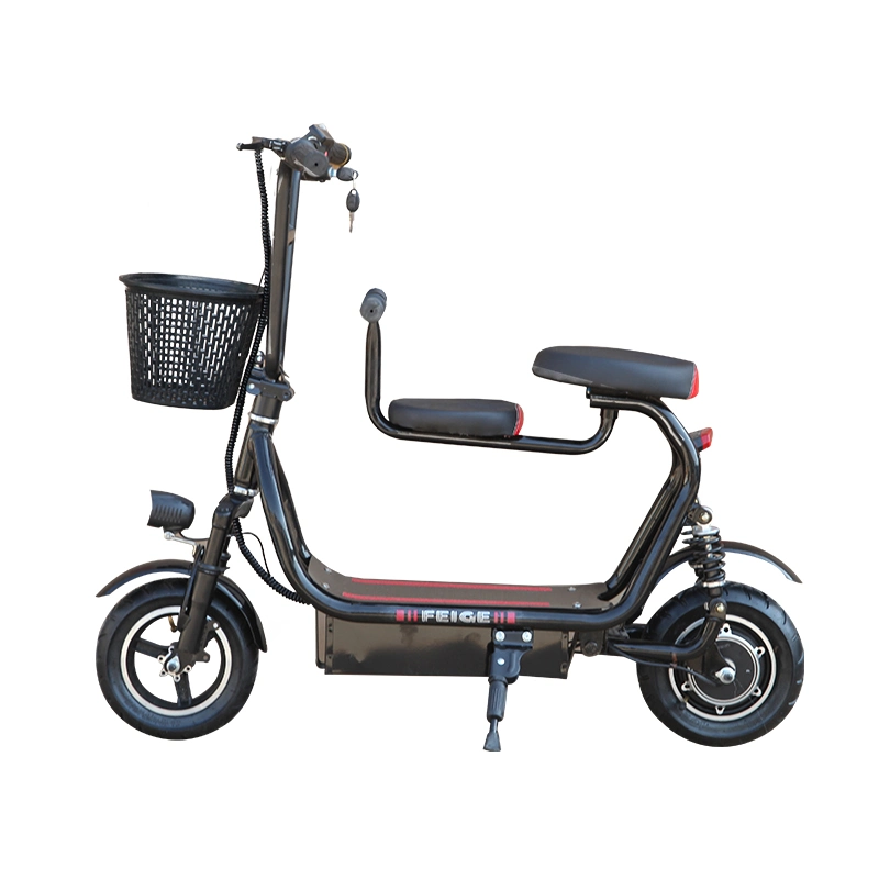 Folding Electric Bike Bicycle Foldable Electric Bike