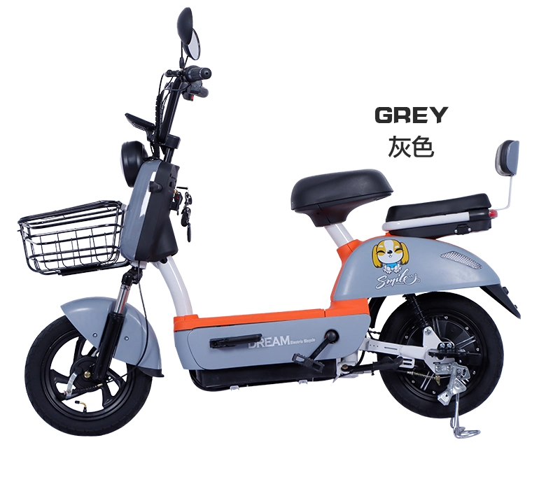 Electric Motorcycle Adult EEC Electric Scooters Powerful Adult Moped