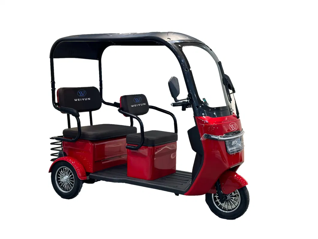 Hot-Sale New Style OEM Adult Tricycle for Cargo Delivery/Passenger
