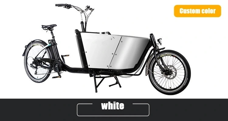 China Made Europe with CE Electric Two Wheel Cargo Bike