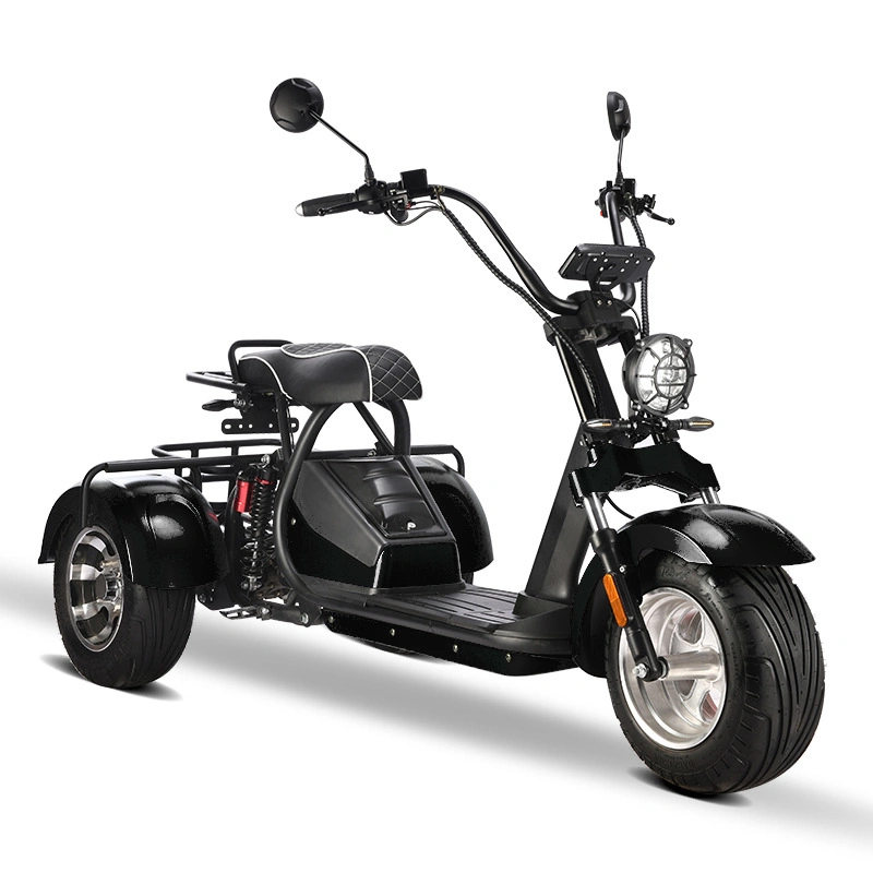 Electric Tricycle Electric Cargo 2000W Electric Bike Adult Electric Tricycles Electric 3 Wheel Electric Scooter