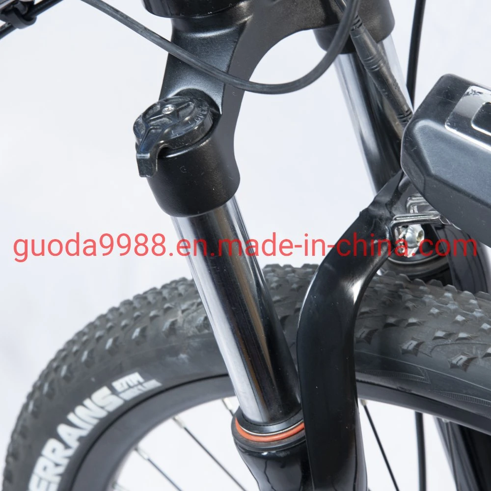 36V Lithium Battery Bicycle 300W Mountain Electric Bike