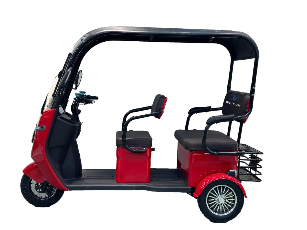 Hot-Sale New Style OEM Adult Tricycle for Cargo Delivery/Passenger