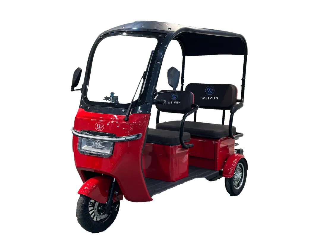 Hot-Sale New Style OEM Adult Tricycle for Cargo Delivery/Passenger