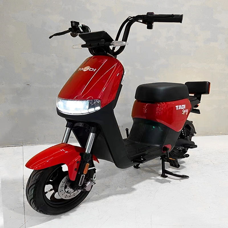 48V Electric Bicycle, Electric City Bike, Electric Cycle