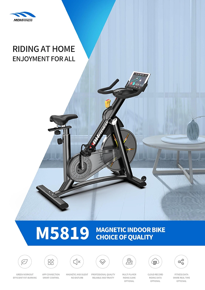 Hot Sale Home Use Exercise Bike Mini Spinning Bike