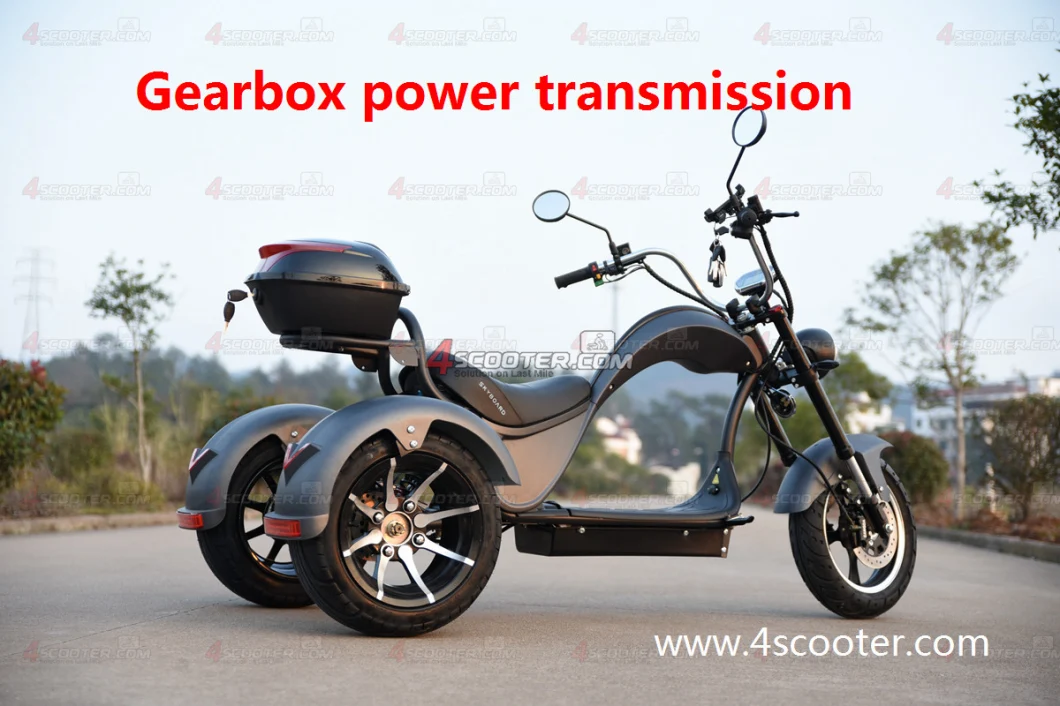 New Generation Tri-Wheels Electric Chopper with 2 Rear Wheels Drive Electric Fast Scooter