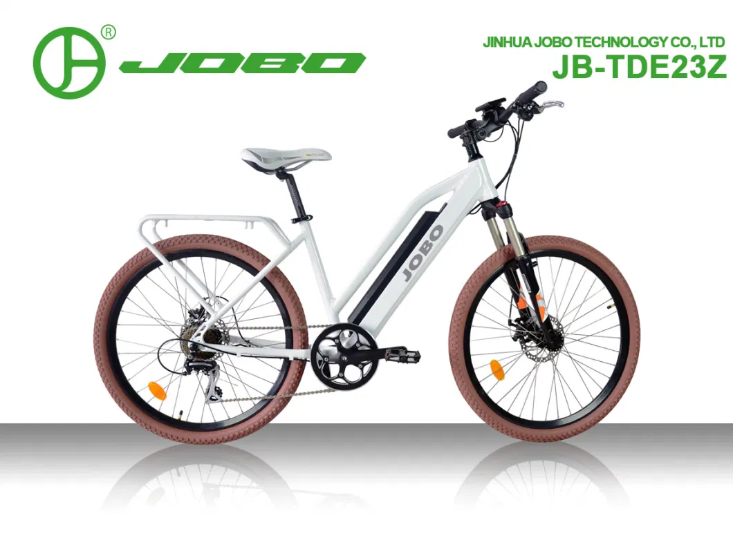 48V500W City Lady Electric Bike Ebikes for Adults with Carrier