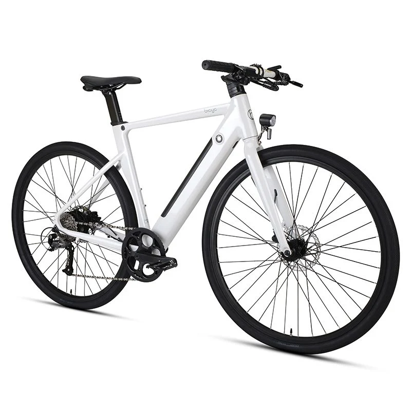 Urban Rapid Commuting - Direct Sales by Electric Bicycle Manufacturers