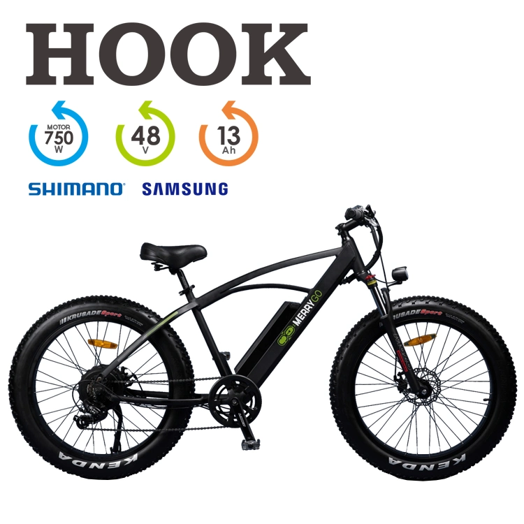 Bicycle/E-Bike with Lithium Rechargeable Battery and Fat Tyre