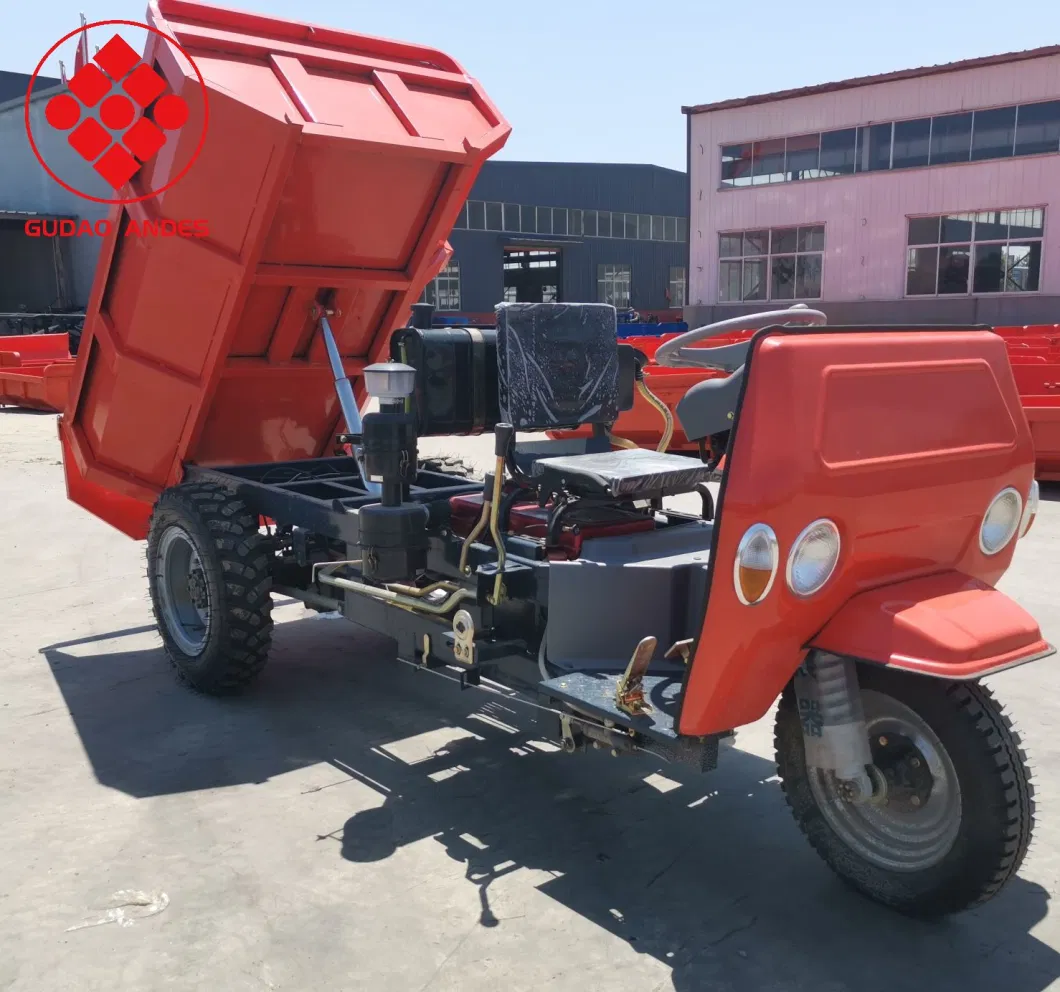 Electric Tricycle for Adults, Tuk Tuk for Sale South Africa, China Three Wheeler