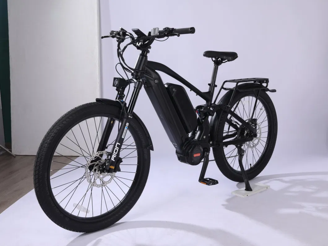 Amazon Top Selling 750W Powerful Fat Tire Electric Bike
