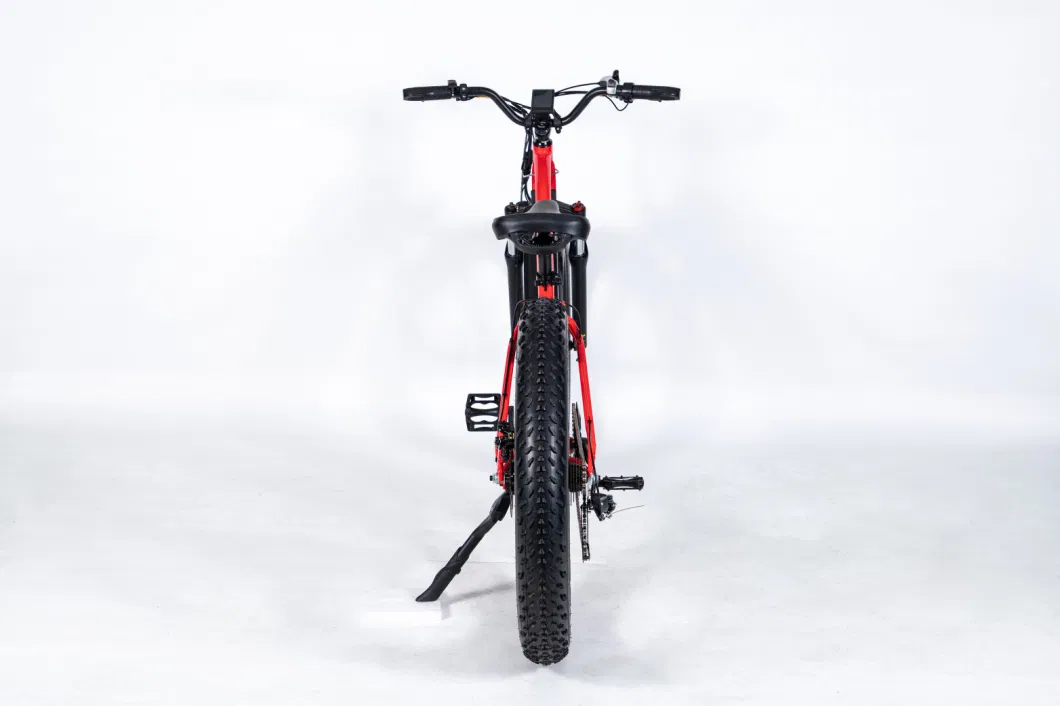 The Fastest and Convenient Electric Bicycle for Adults Mountain Bike Is Used for Commuting