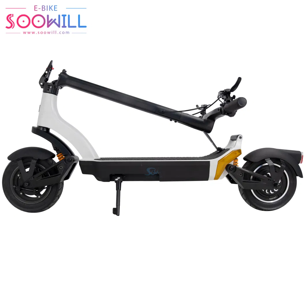 25km/H Road City Bike 10&quot; Electric Motor 48V 13.5ah (Chinese Lithium Battery/4500mAh) Escootor