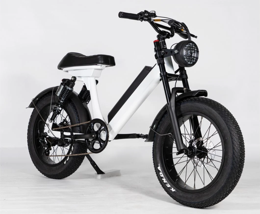 48V 500W Mini Electric Fat Tire Vehicle Scooter Bicycle Bike