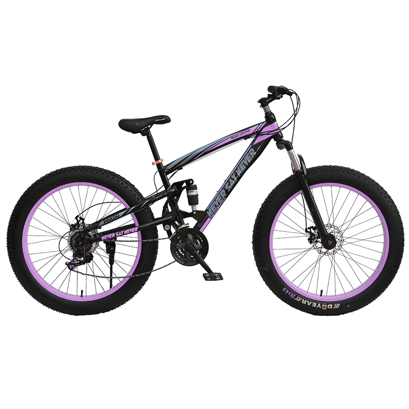 High Quality High Carbon Steel Frame Folded Bicycle Mountainbike for Young People