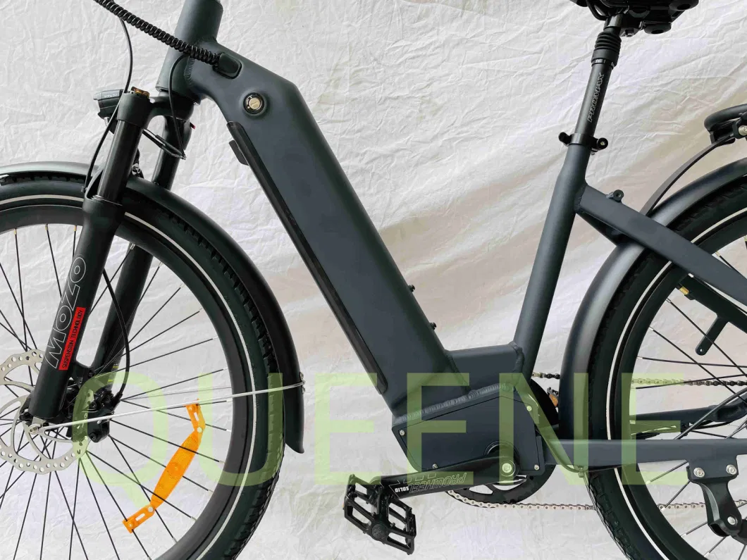 Queene/Ebike Manufacturer 700c Women Urban 250W Step Through Electric City Bike