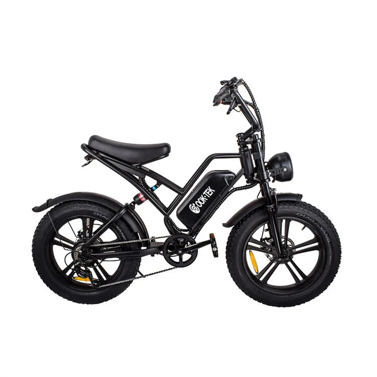 Cheapest Price Electric Bike Bicycle 750W Long Range Electric Bicycle 20 Inch 15ah Electric Bike E Bicycle