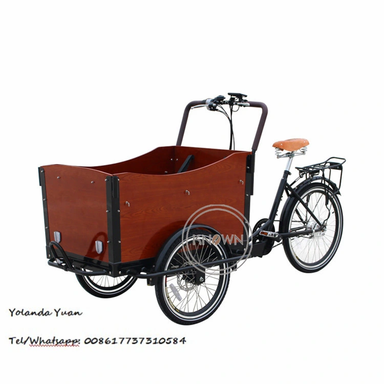 Factory Price Sale Cargo Currier Tricycle Bike Electric Cargo Bicycle Food Bike in China