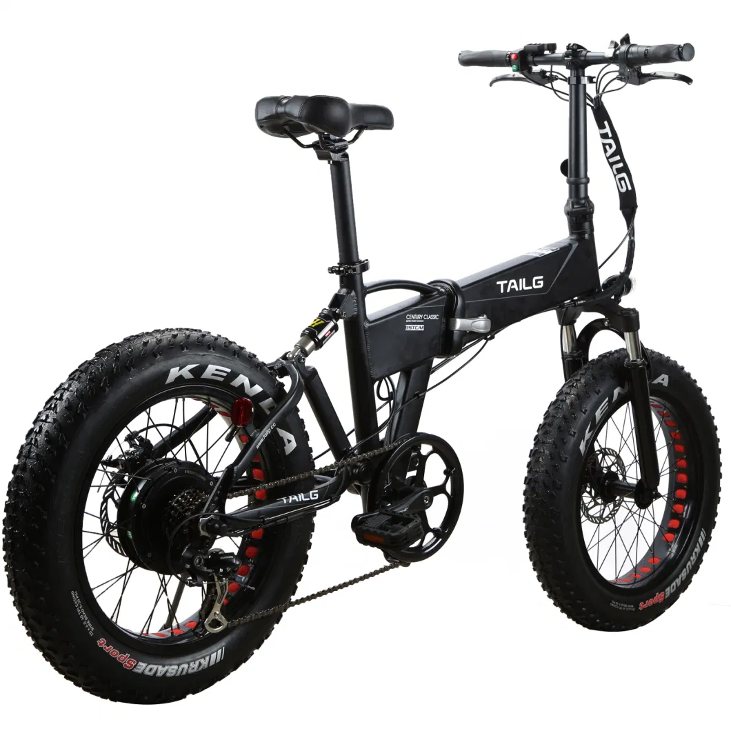 20&quot; Folding Fat Tyre Electric Bicycle with Lithium Battery