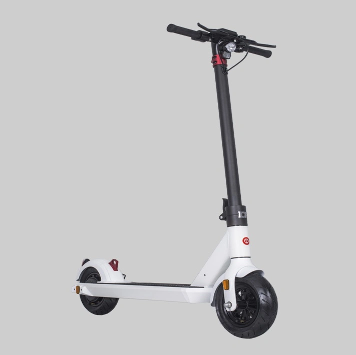 2 Wheels 300W Adult Flodable E-Scooter for Adult Teenagers