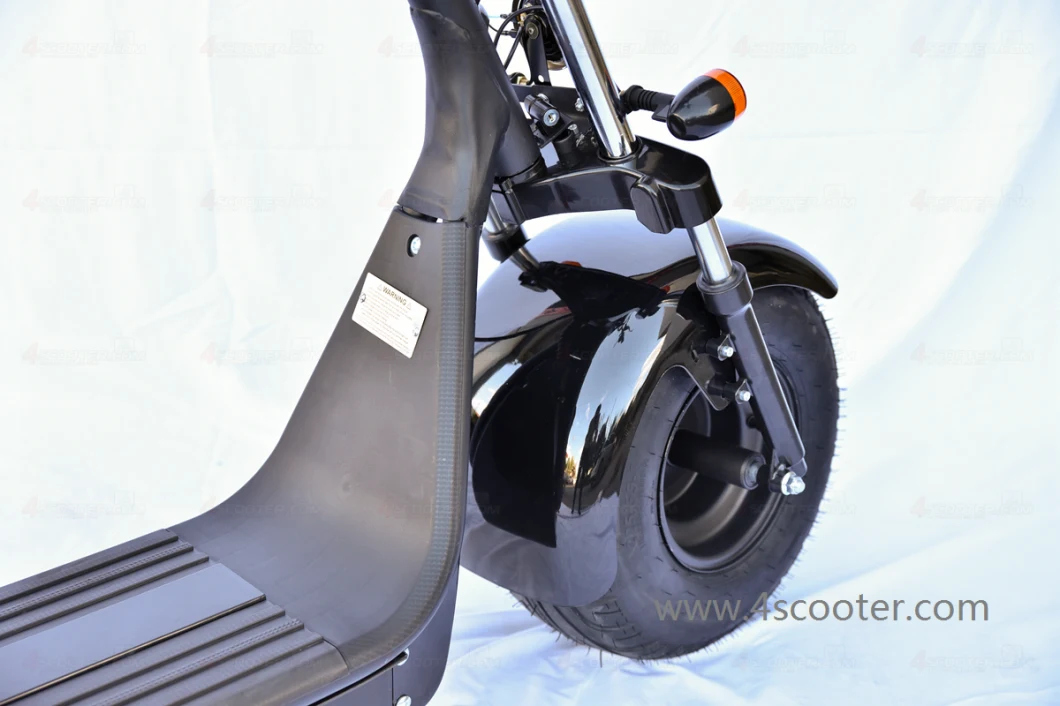 1000W 1500W 2000W Coc/EEC/CE Legal Electric Bike Motorcycle City Coco Scooter