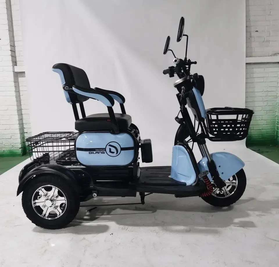 3 Wheel Electric Cargo Bike 60V Tricycl Scooter