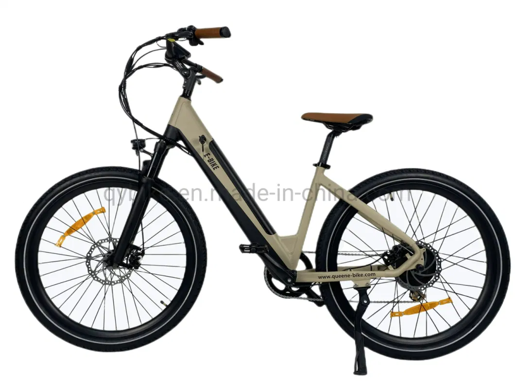 Queene Customized New Retro Electric Bicycle Adult Electric Bike with Suspension