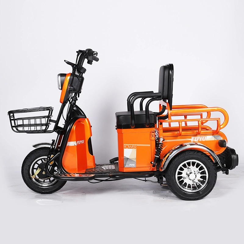 Cheap Manufacture Electric Bike Three Wheeler with 27h 700W Motor Factory Directly Sell 25h600W Three Wheel E Tricycle Bike