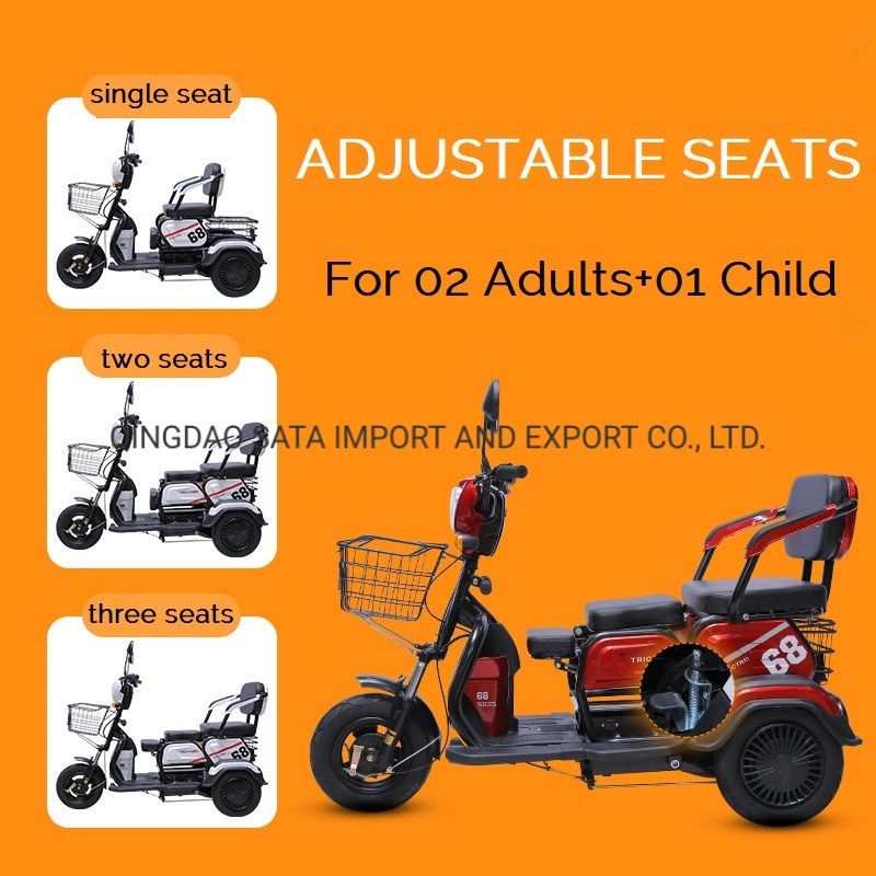 Adult Folding Electric Tricycle with Child Seat and Elderly Leisure Electric Tricycle