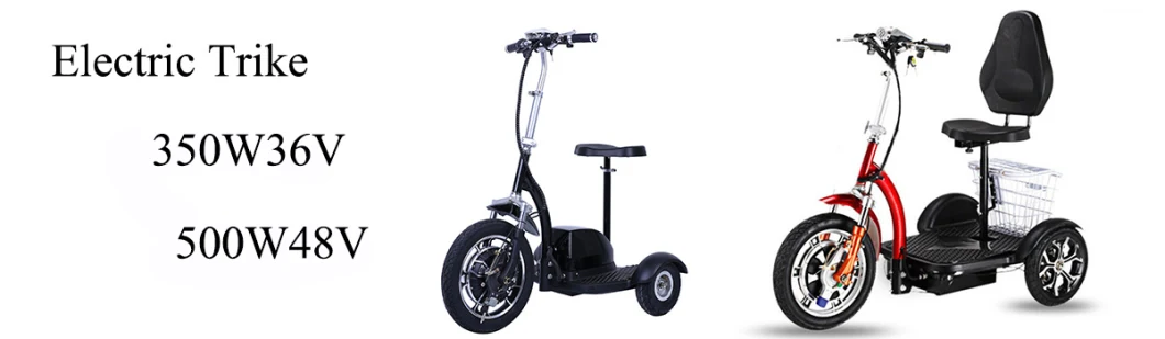 500W Motor Power Adult Foldable Tricycle 3 Wheels Stand up Electric Scooter