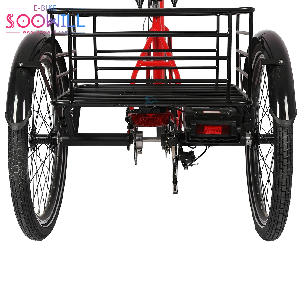 Factory Folding for Adults Bike 3 Wheels with Roof Electric Enclosed Tricycles at Good Price