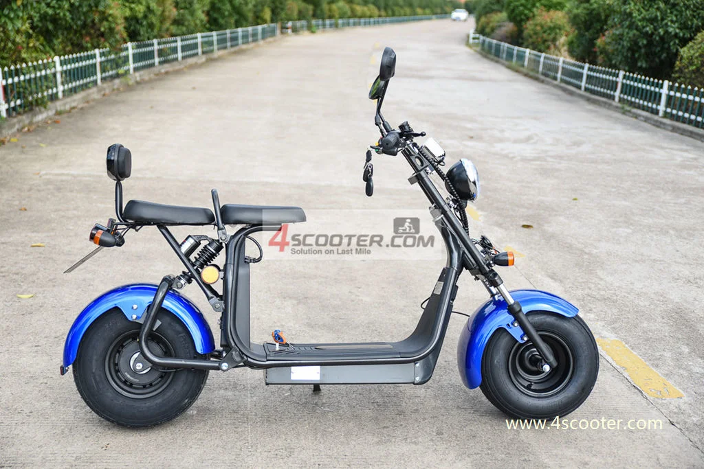 High Quality 2000W 5000W EEC Europe Road Legal Citycoco Electric Scooter Injection Molding Cycle