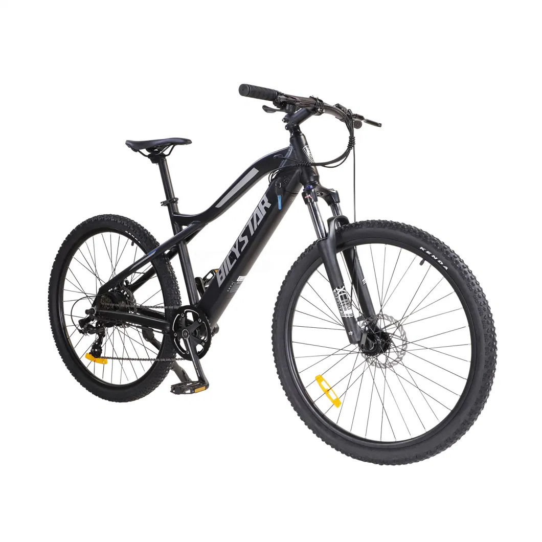 1000W Ebike with Fat Tires1000W Electric Bicycle1000W Electric Bike