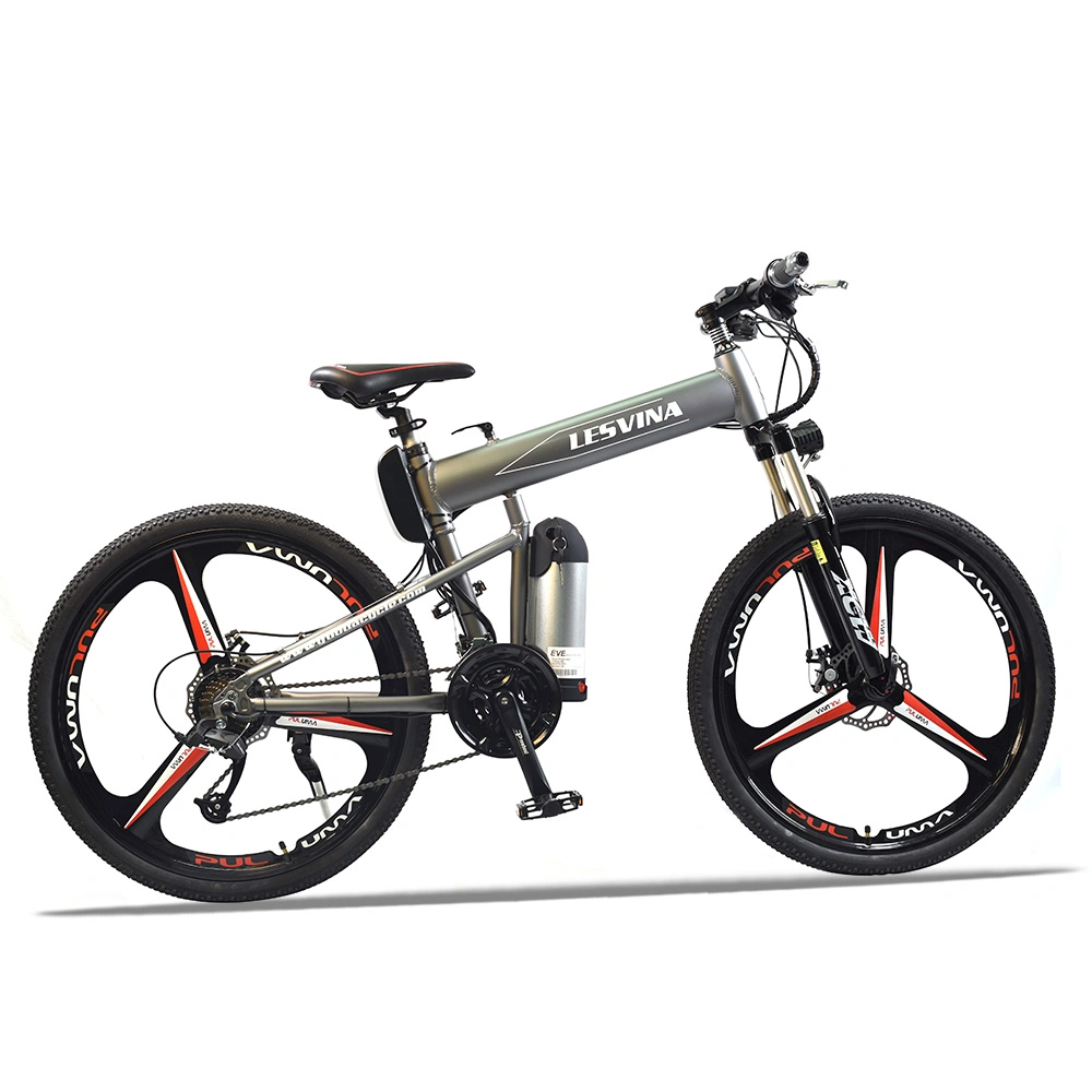 Lithium Battery Foldable Electric Bike with 3 Knife Rim Ebike